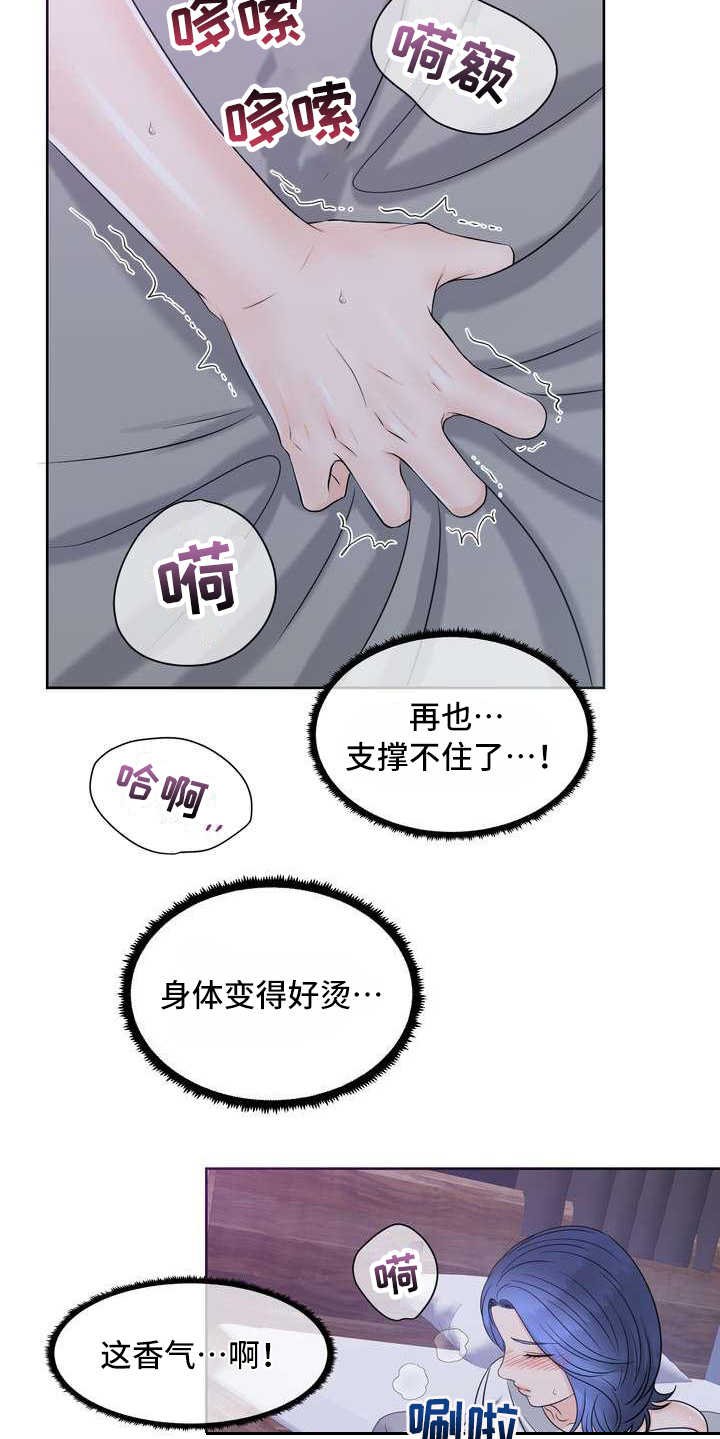 第18章：发作