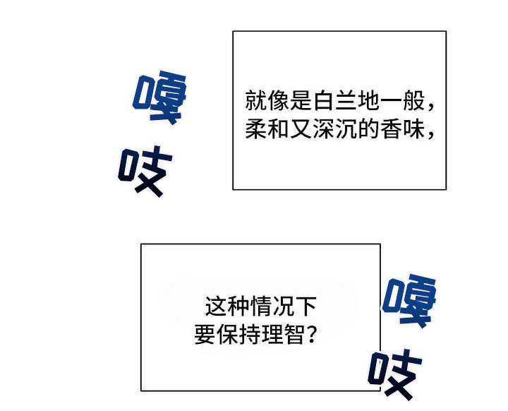 第19章：一片空白
