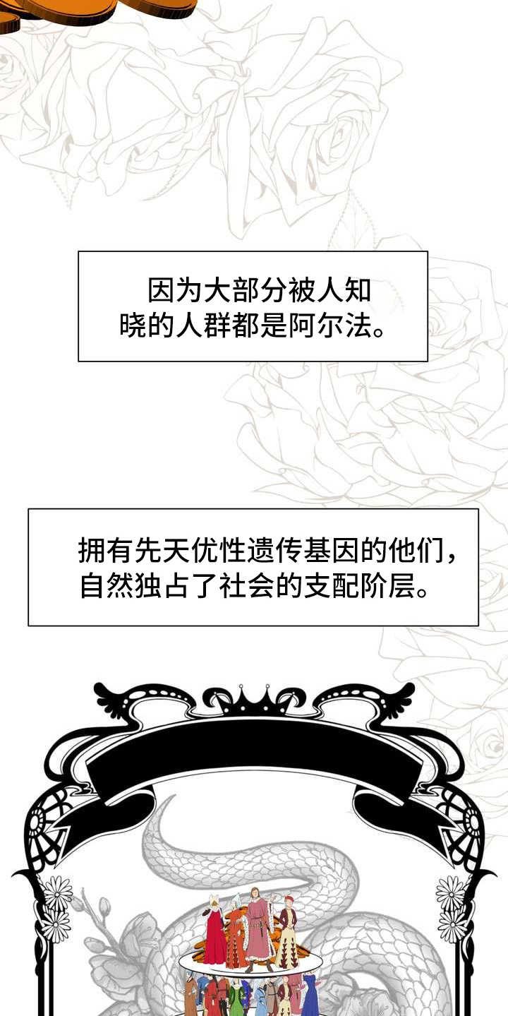 第3章：欧米伽