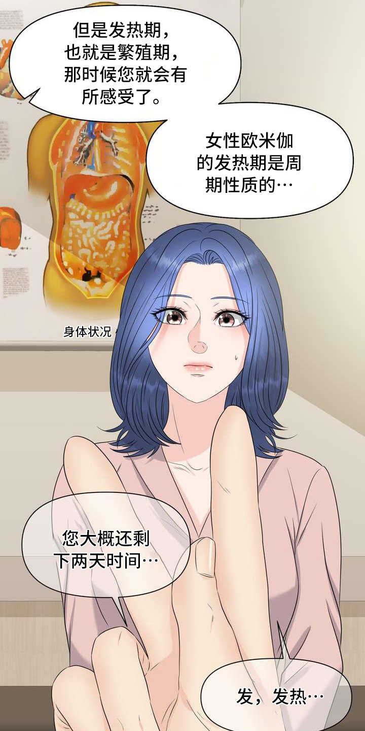 第3章：欧米伽
