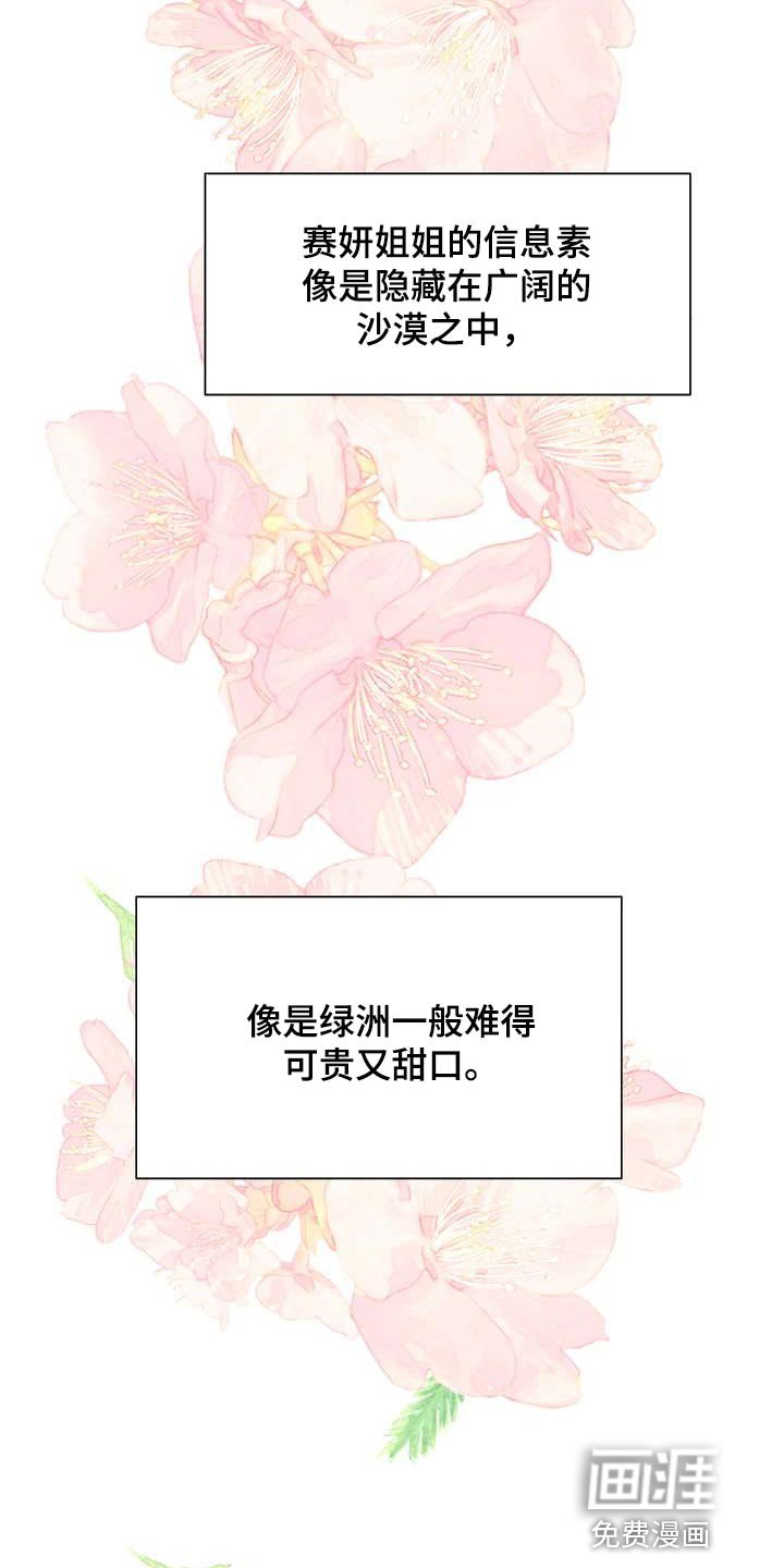 第43章：绿洲