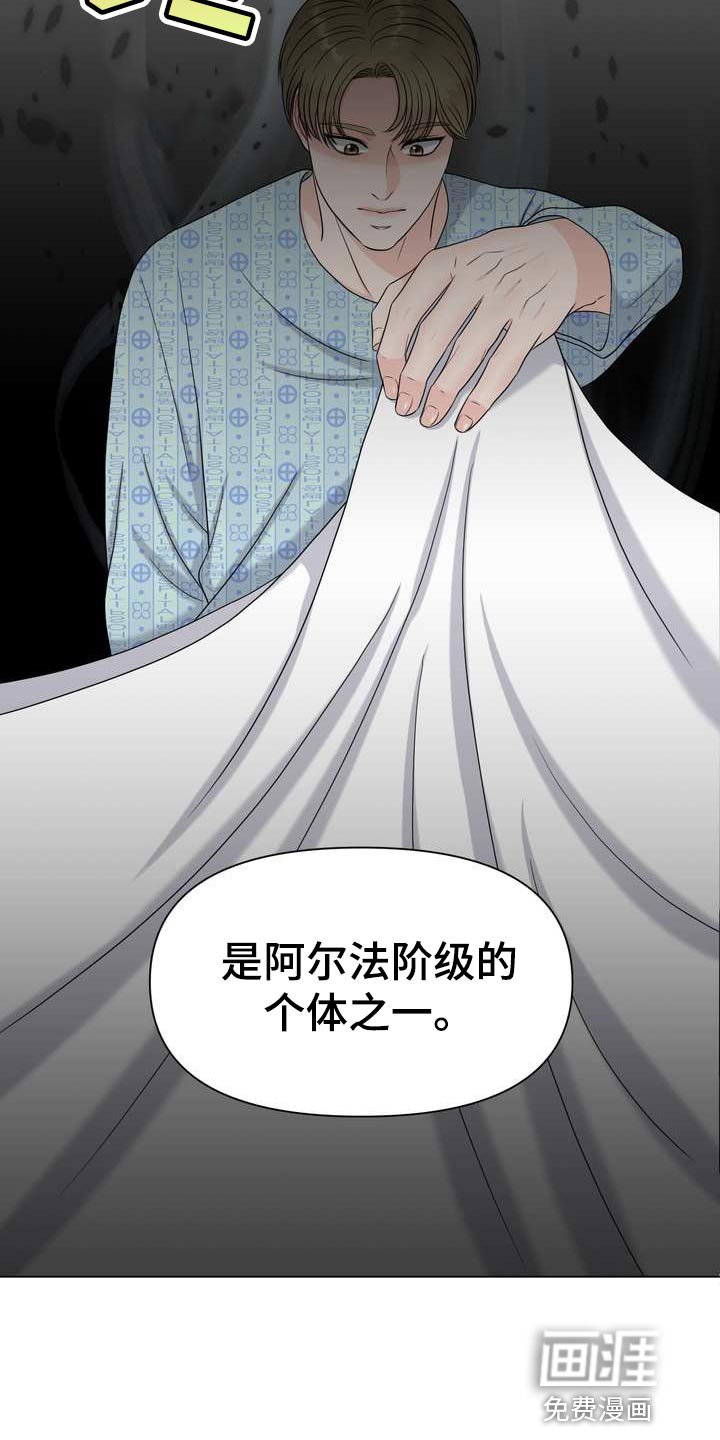 第49章：混乱