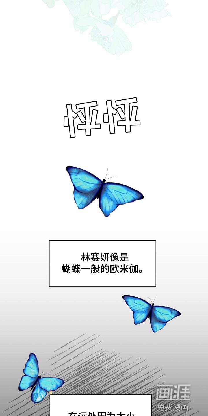 第53章：忍不住担心