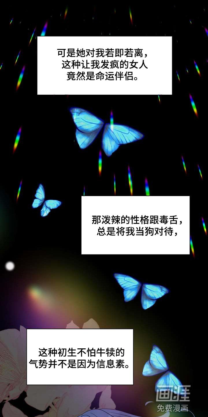 第53章：忍不住担心