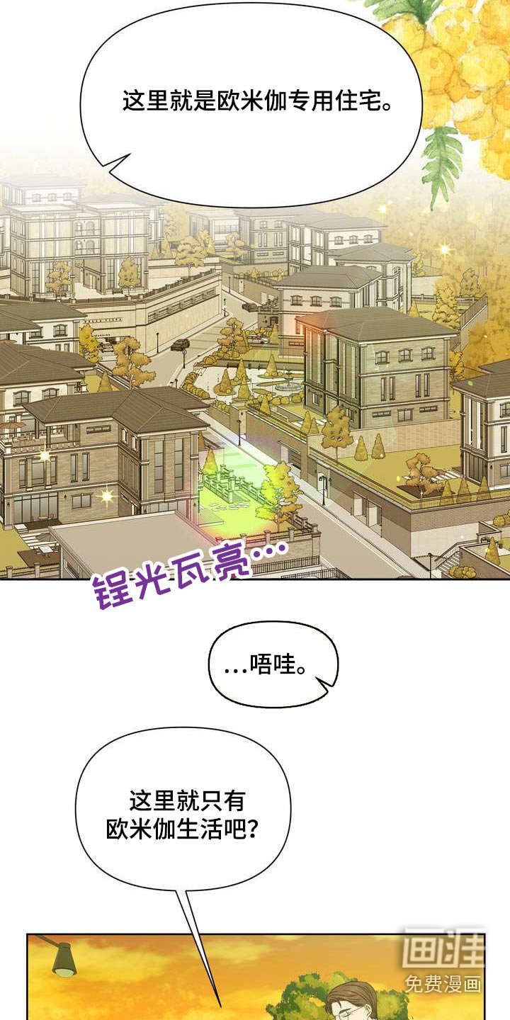 第59章：保护你