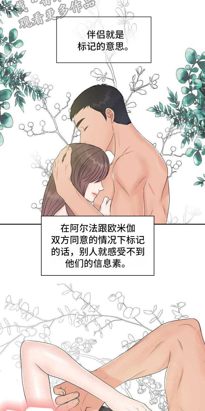 第6章：偏见