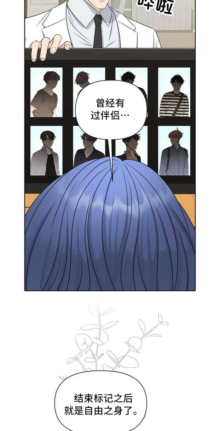 第6章：偏见