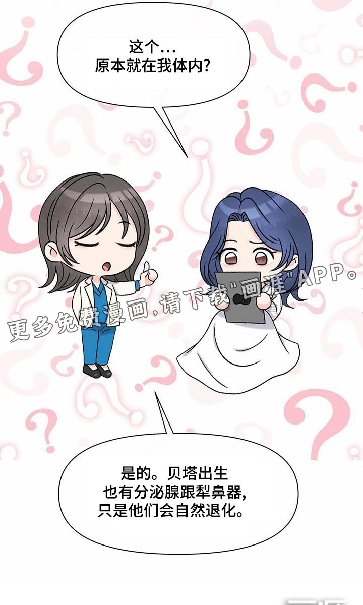 第74章：主治医师