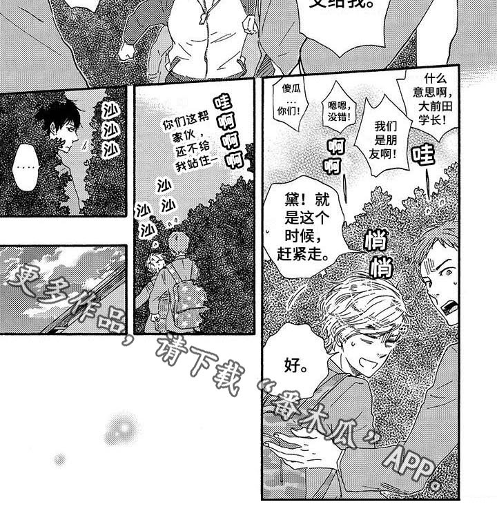 第12章：发型