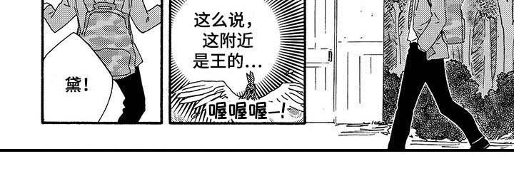 第14章：不正常