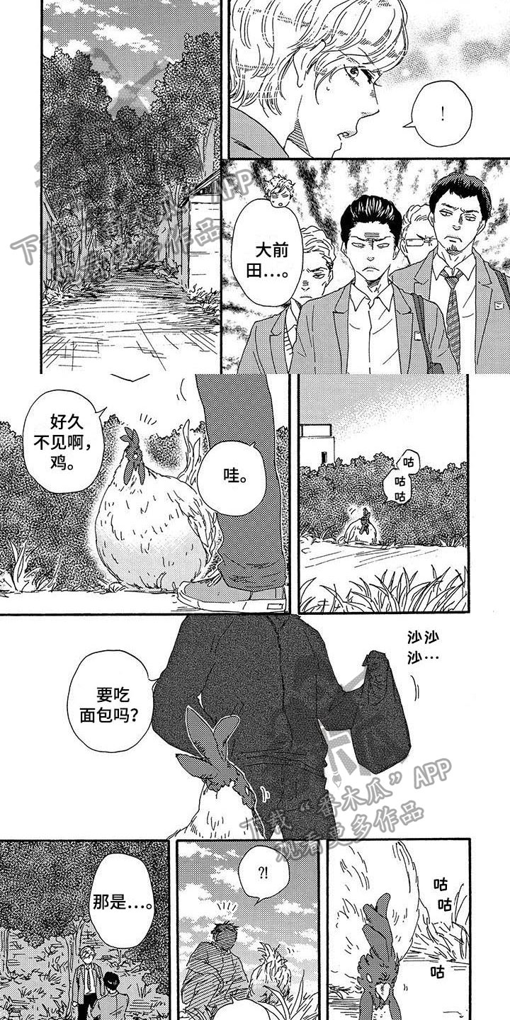 第15章：关键