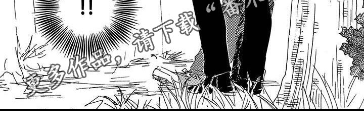 第15章：关键