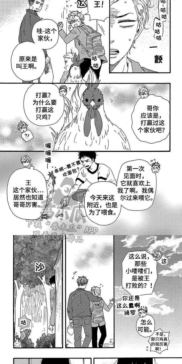 第16章：隐藏