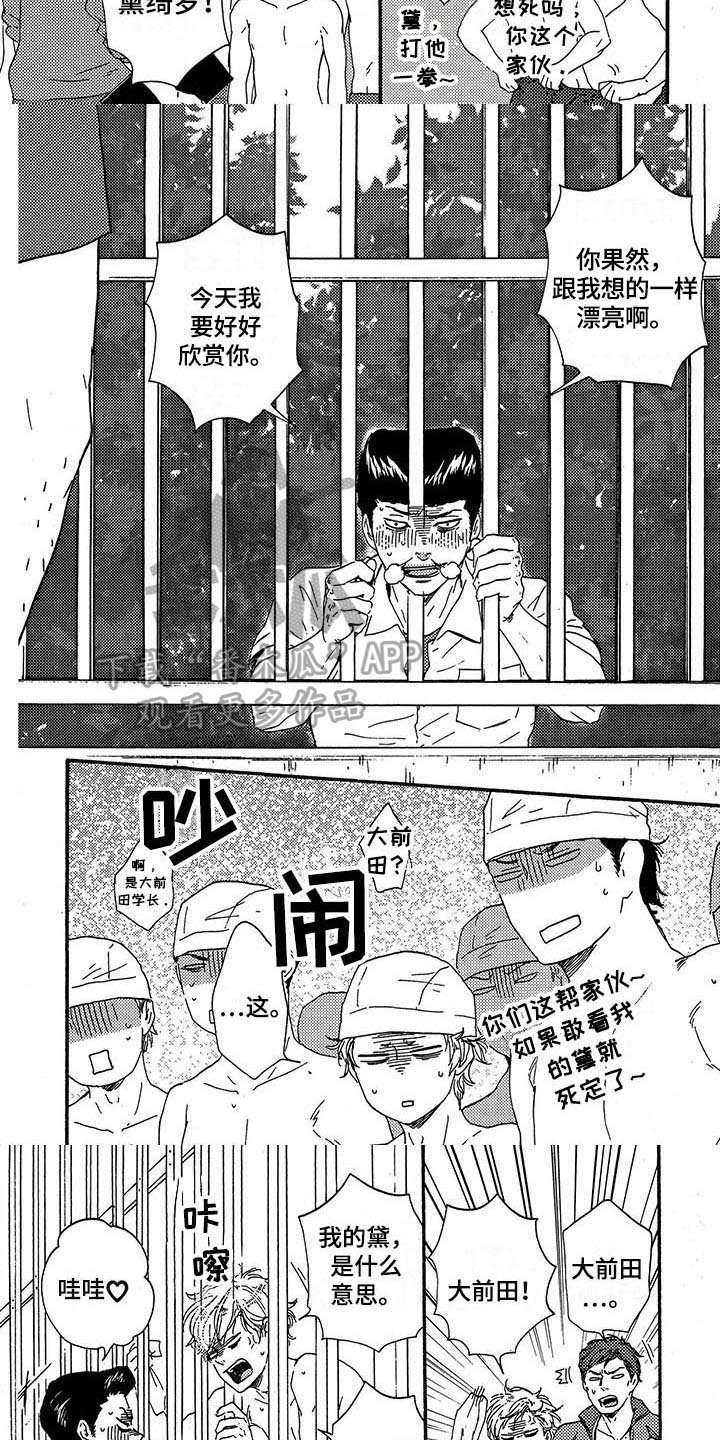 第22章：可爱