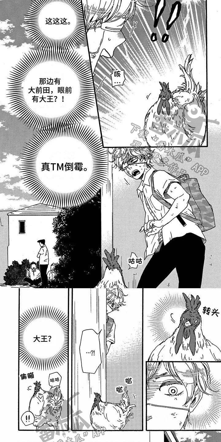 第29章：带路