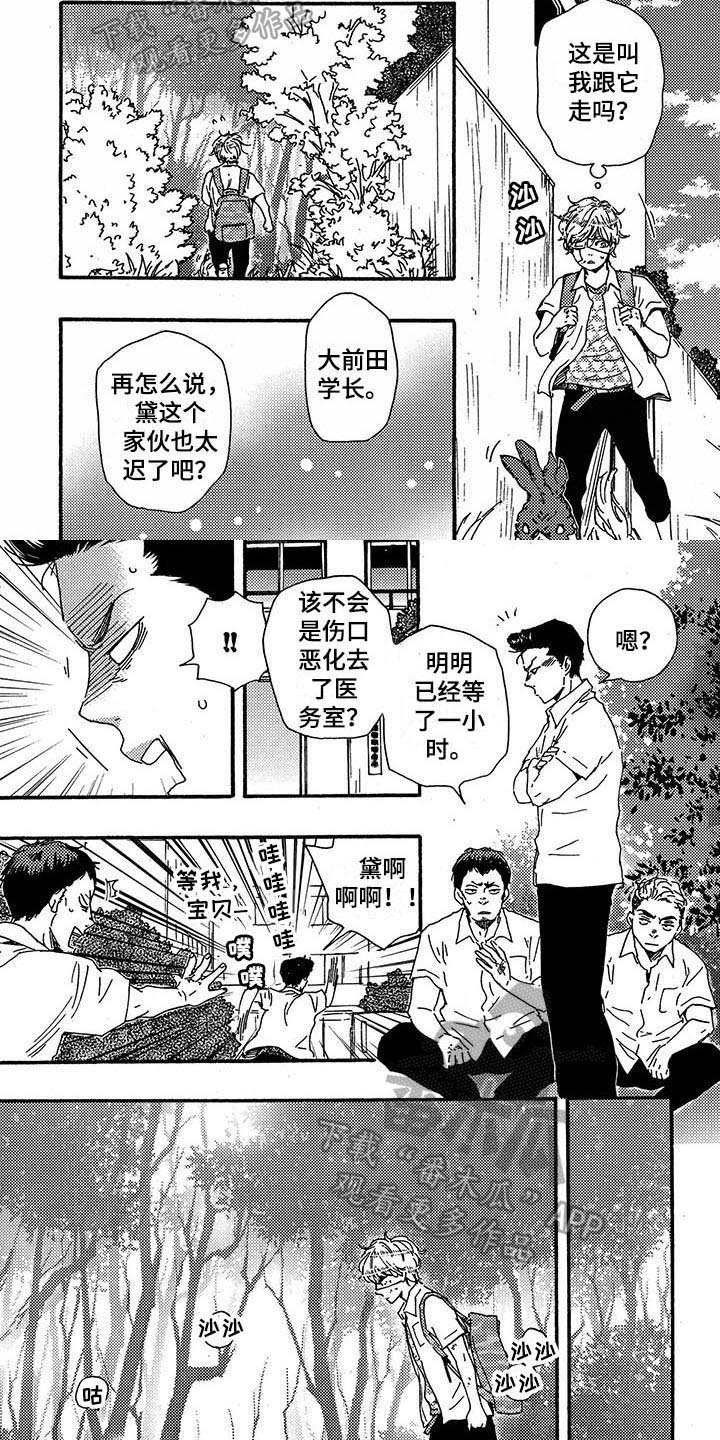 第29章：带路