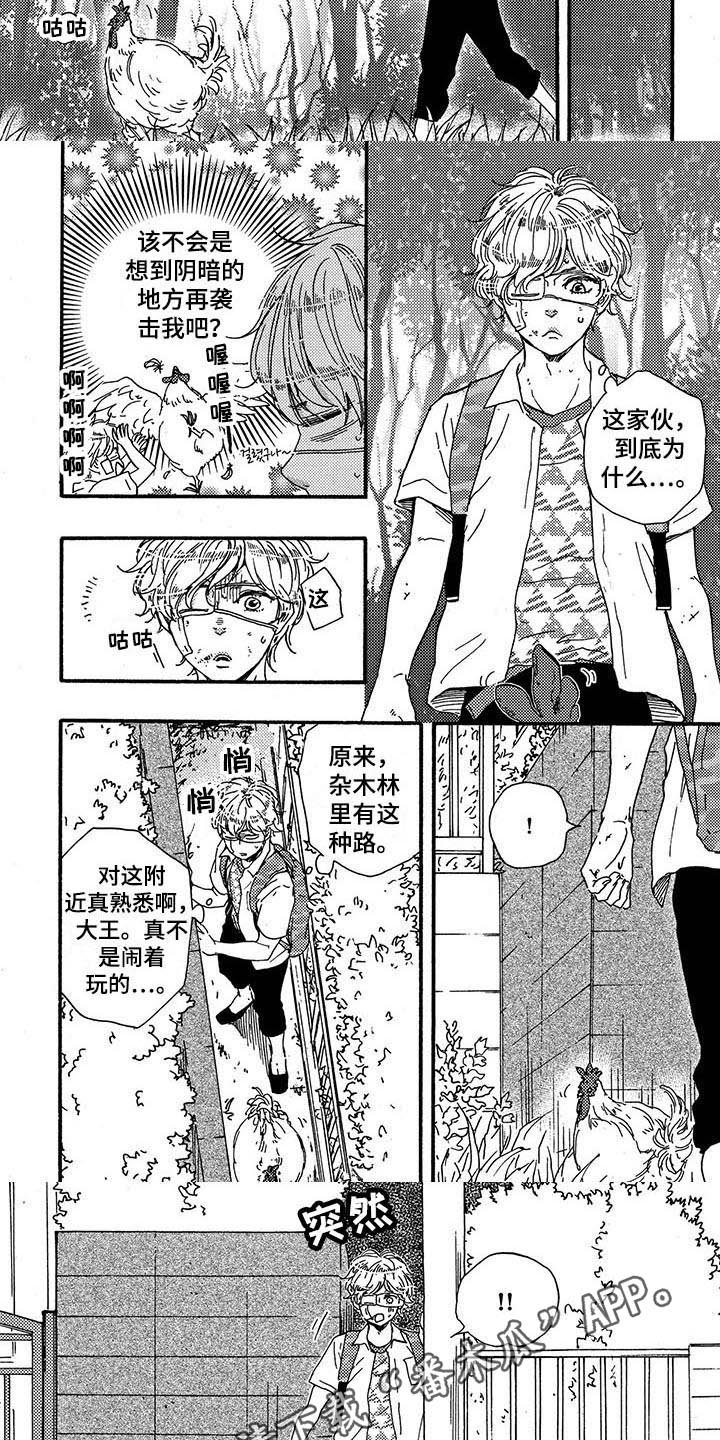 第29章：带路