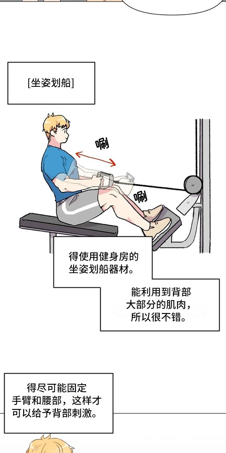 第16章：背部运动