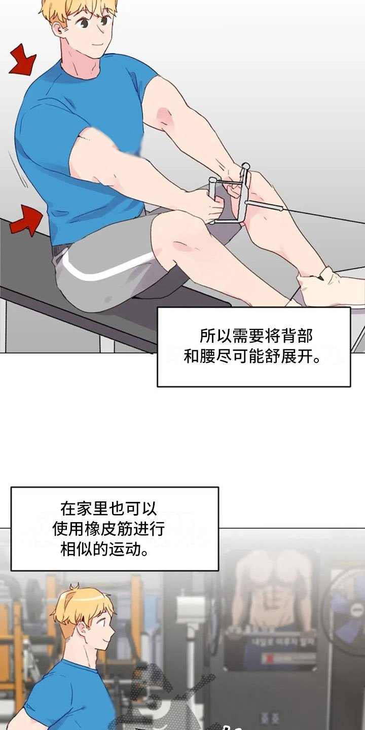 第16章：背部运动