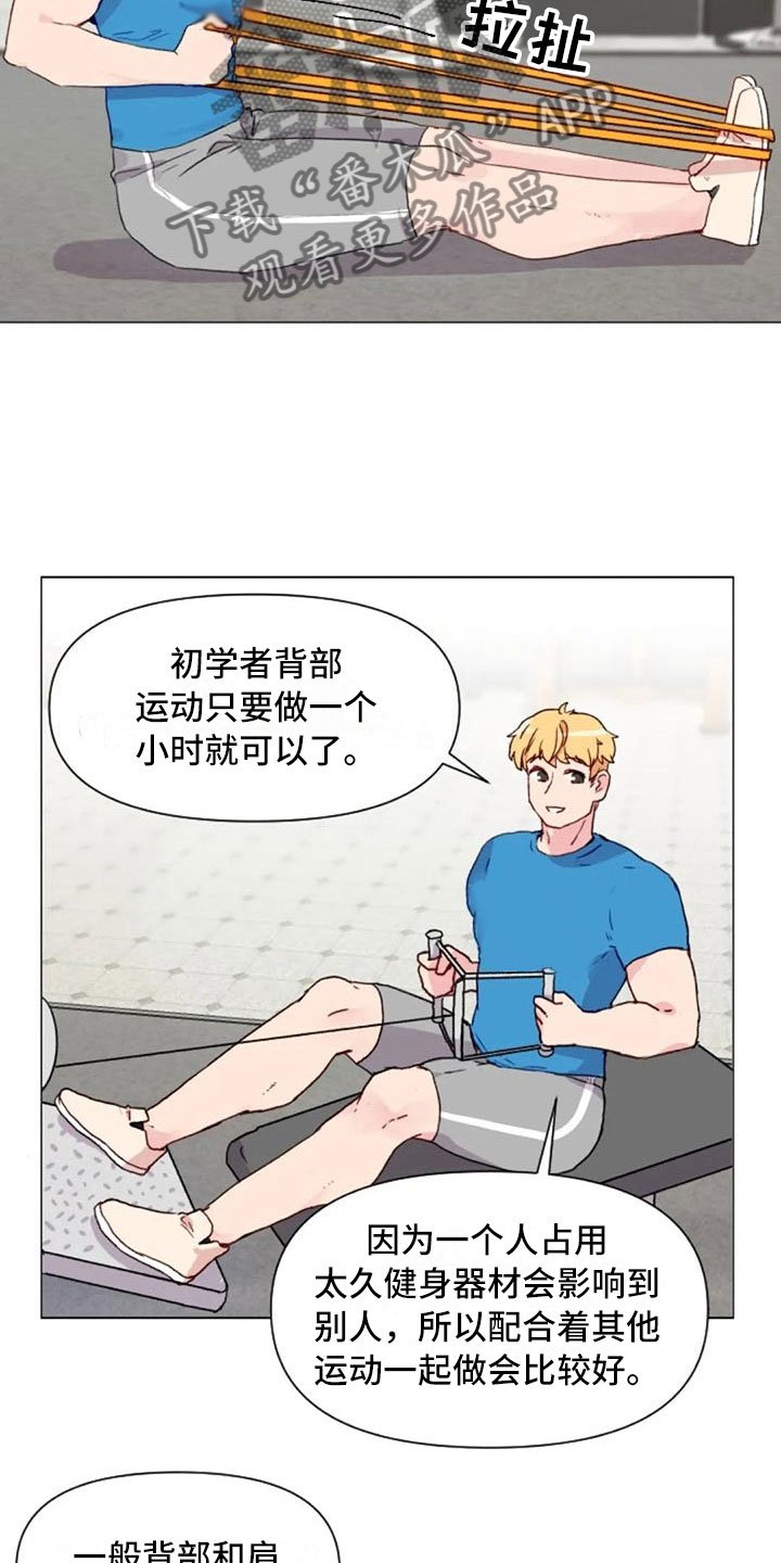 第16章：背部运动