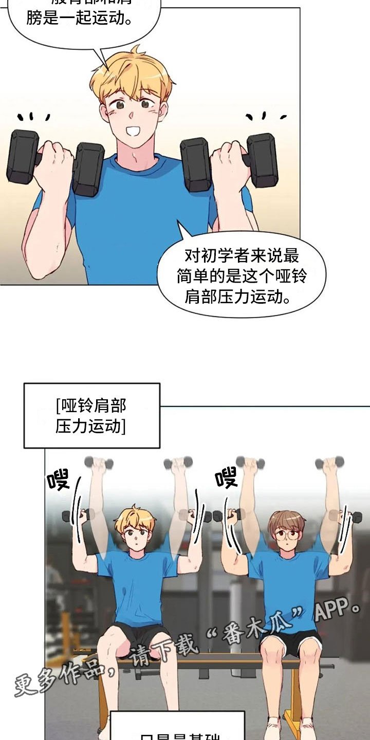 第16章：背部运动
