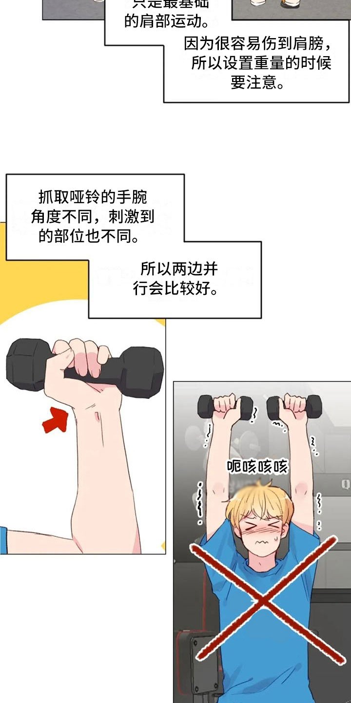 第16章：背部运动
