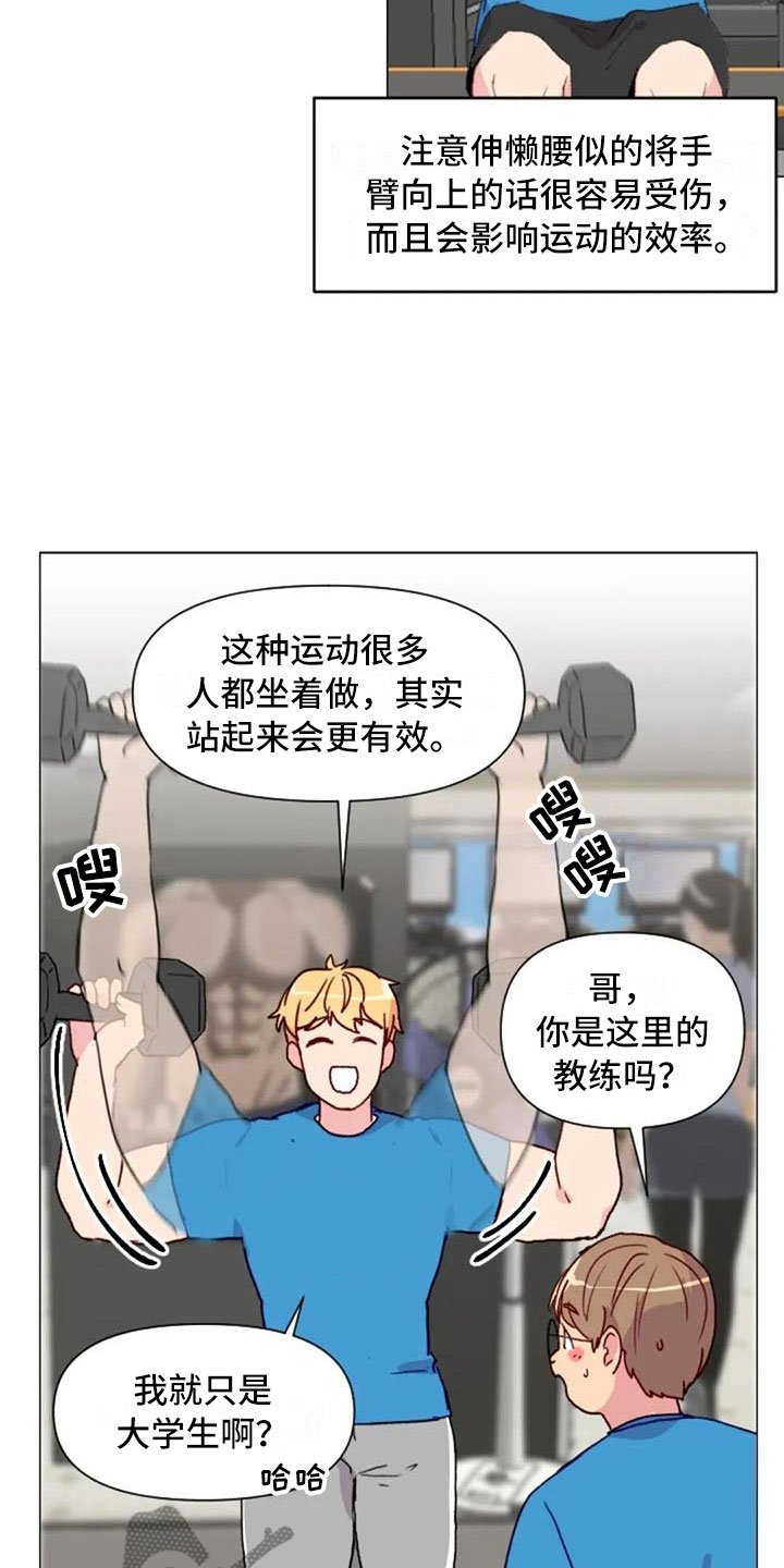 第16章：背部运动