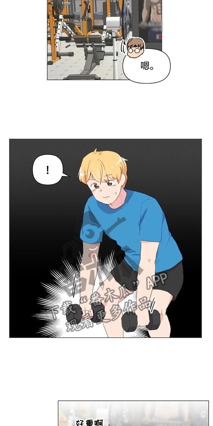 第16章：背部运动