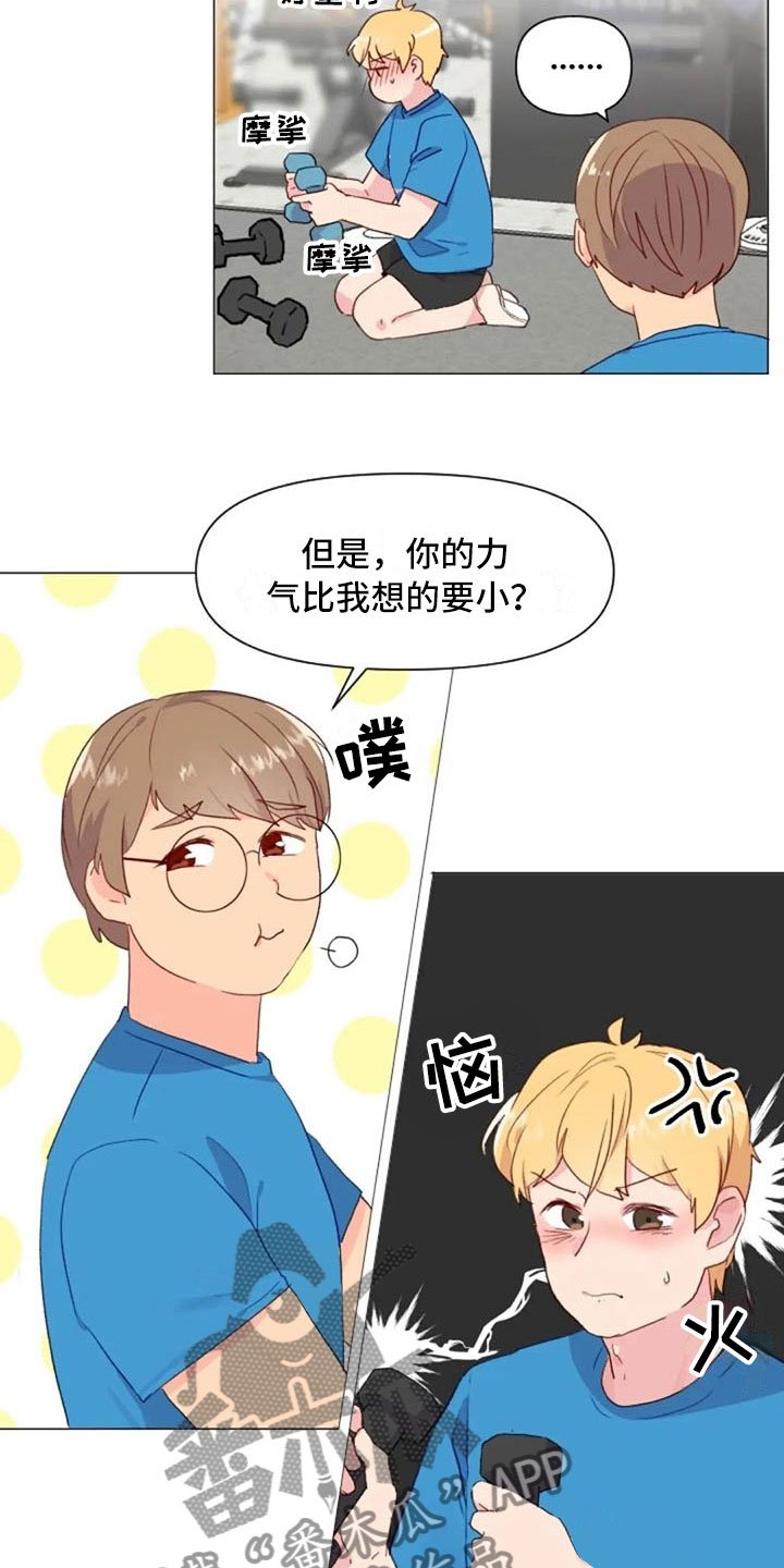 第16章：背部运动