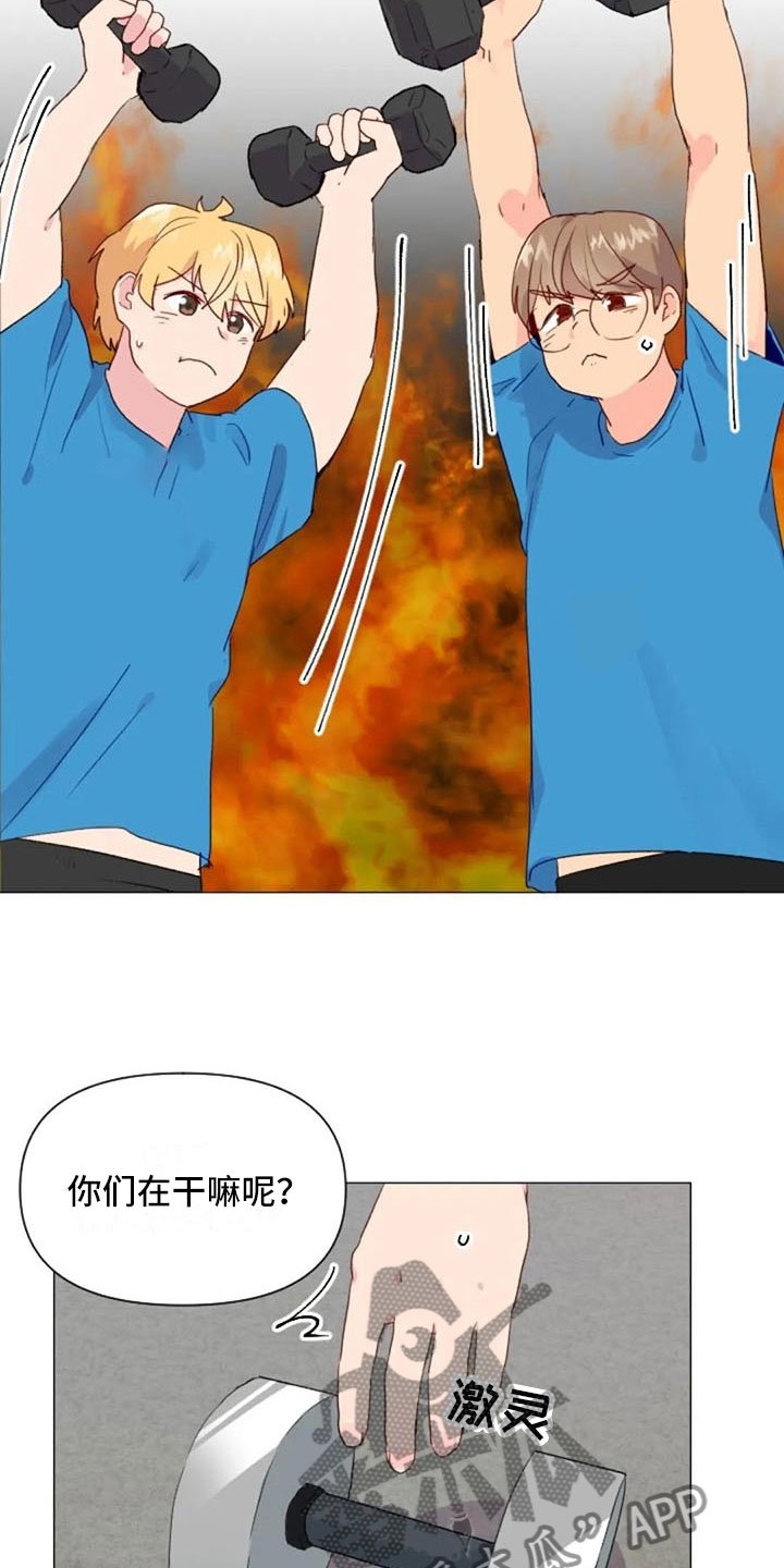 第16章：背部运动