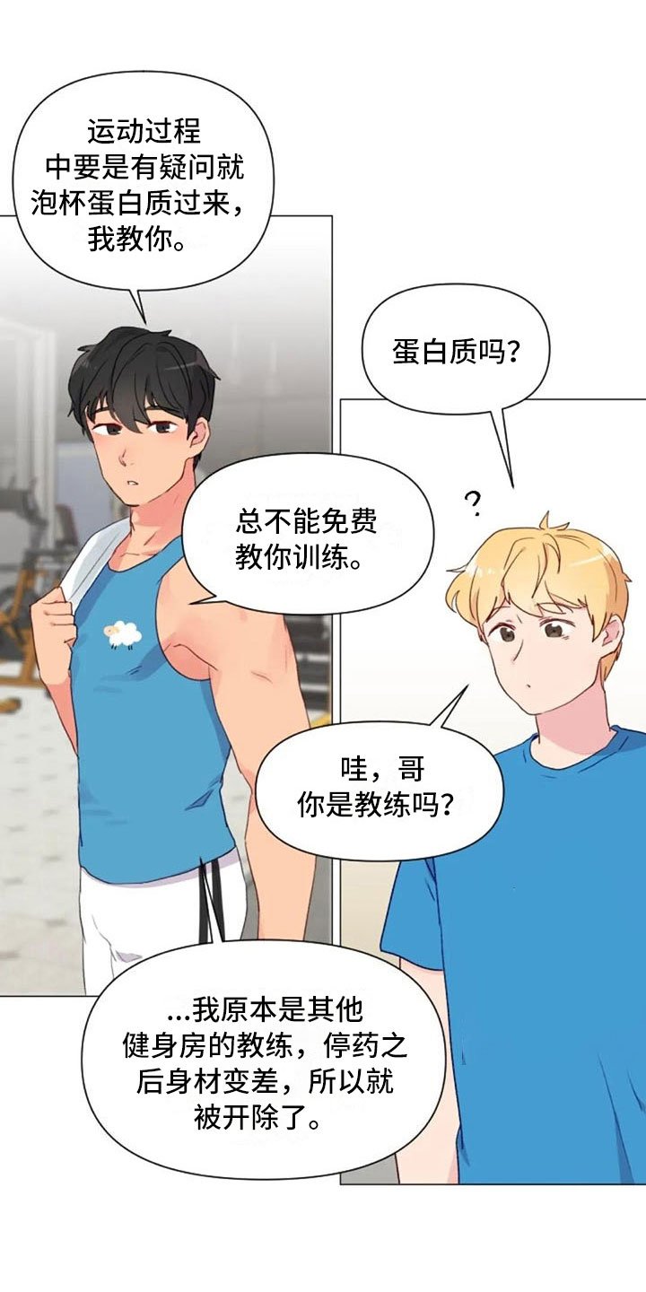第16章：背部运动
