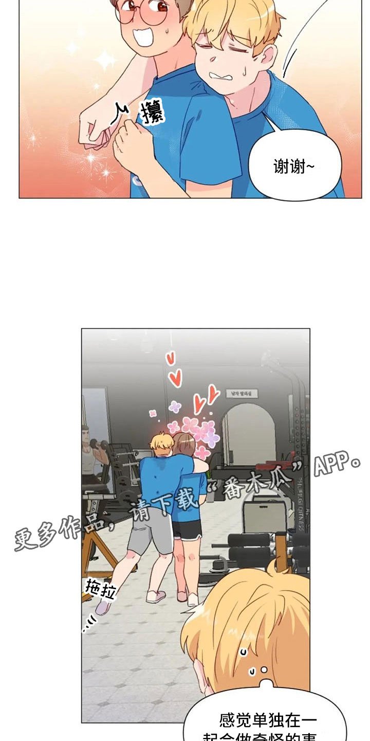 第16章：背部运动