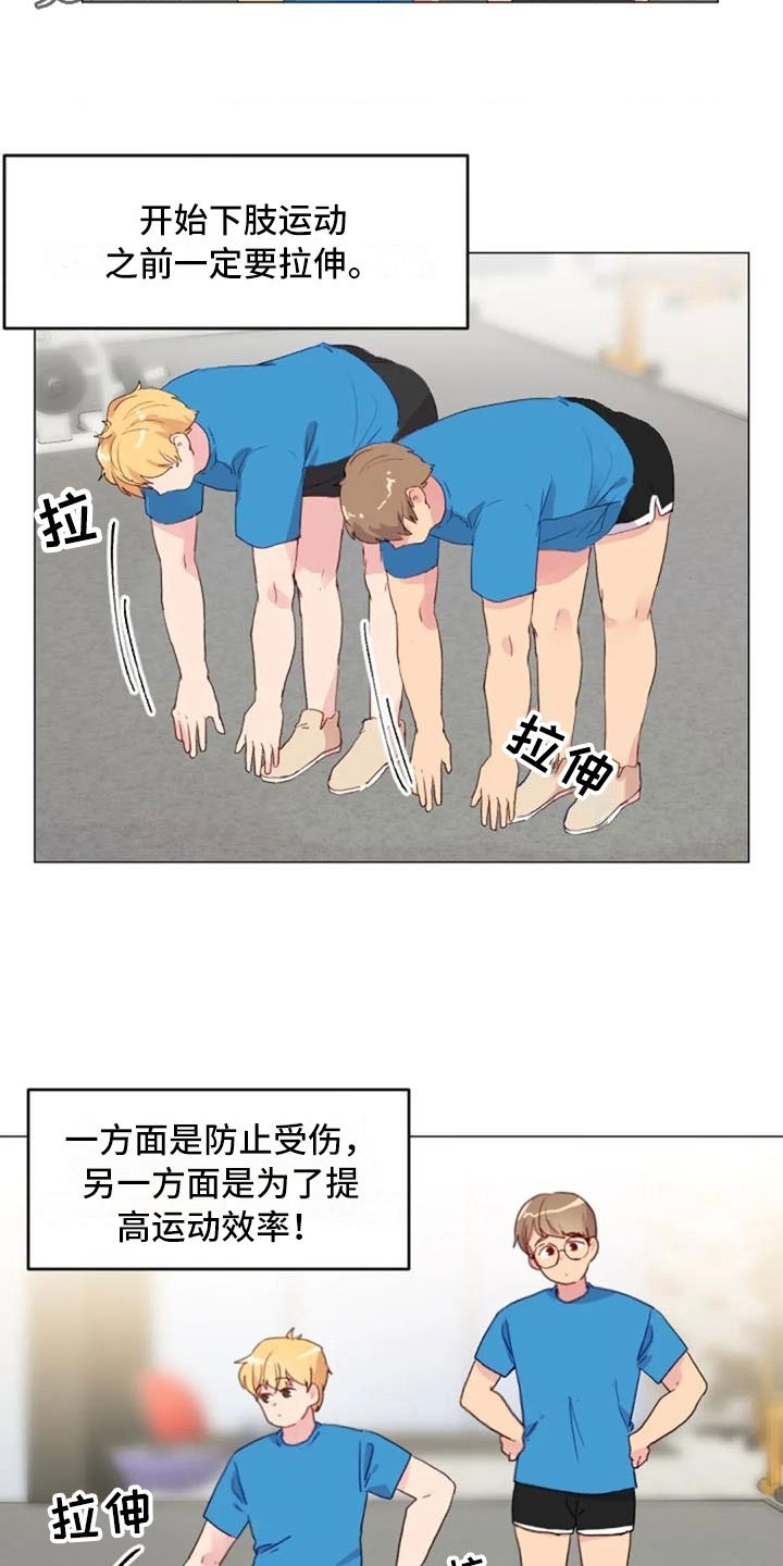 第23章：下肢运动