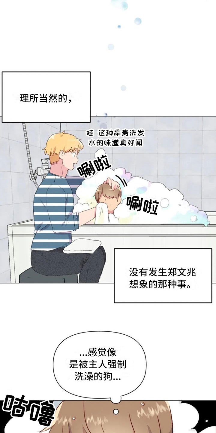 第24章：运动副作用