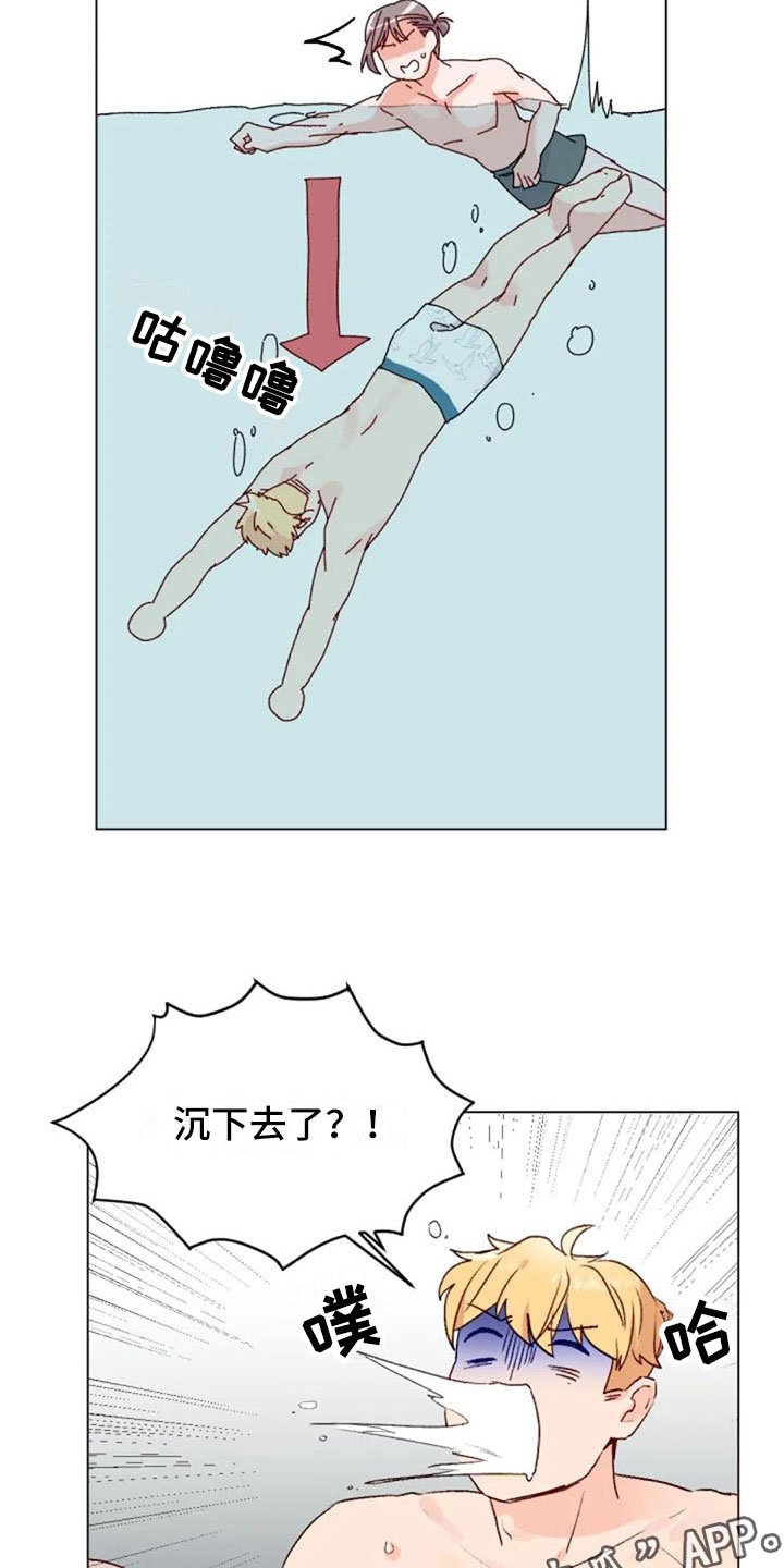 第40章：喜欢这件事