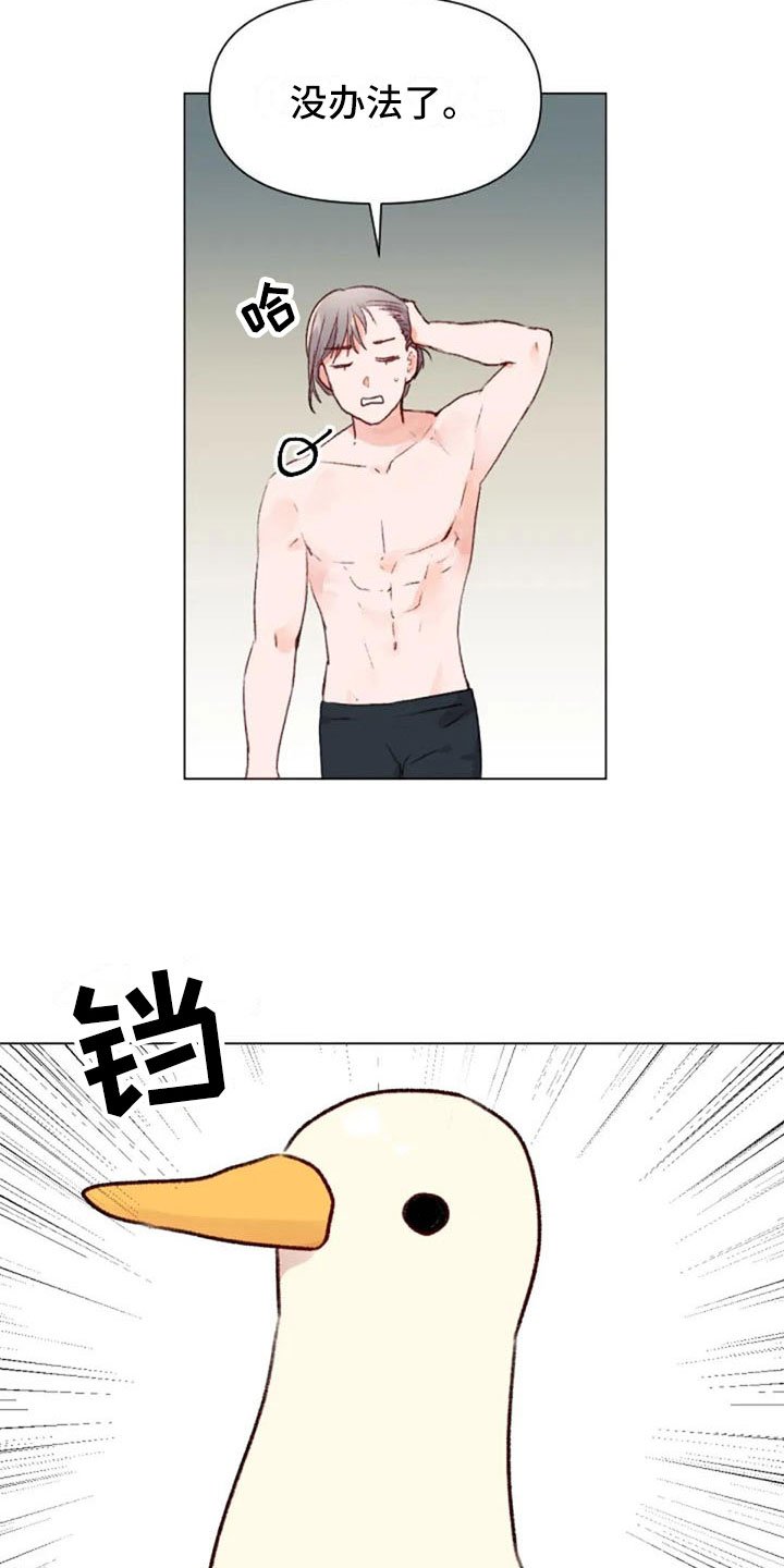 第40章：喜欢这件事