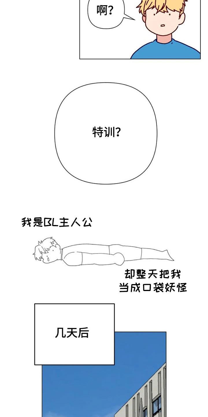 第49章：过度训练