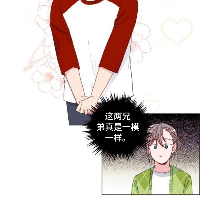 第5章：不愧是兄弟