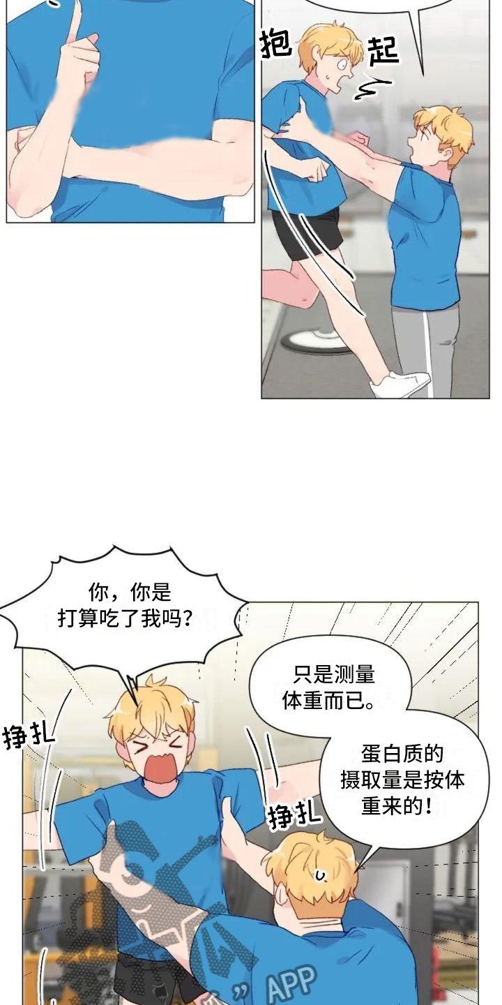 第8章：手臂运动