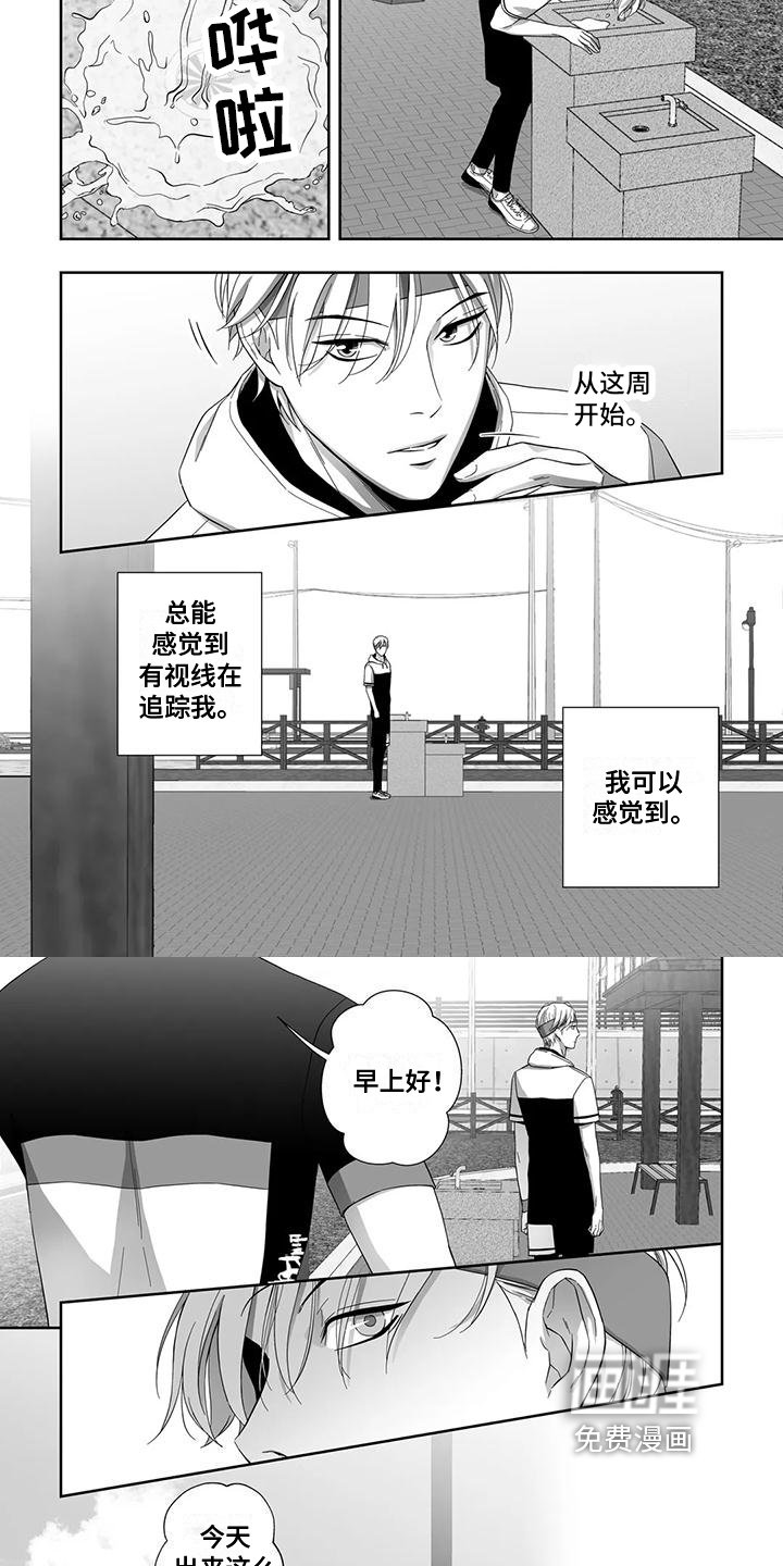第13章：跟踪狂