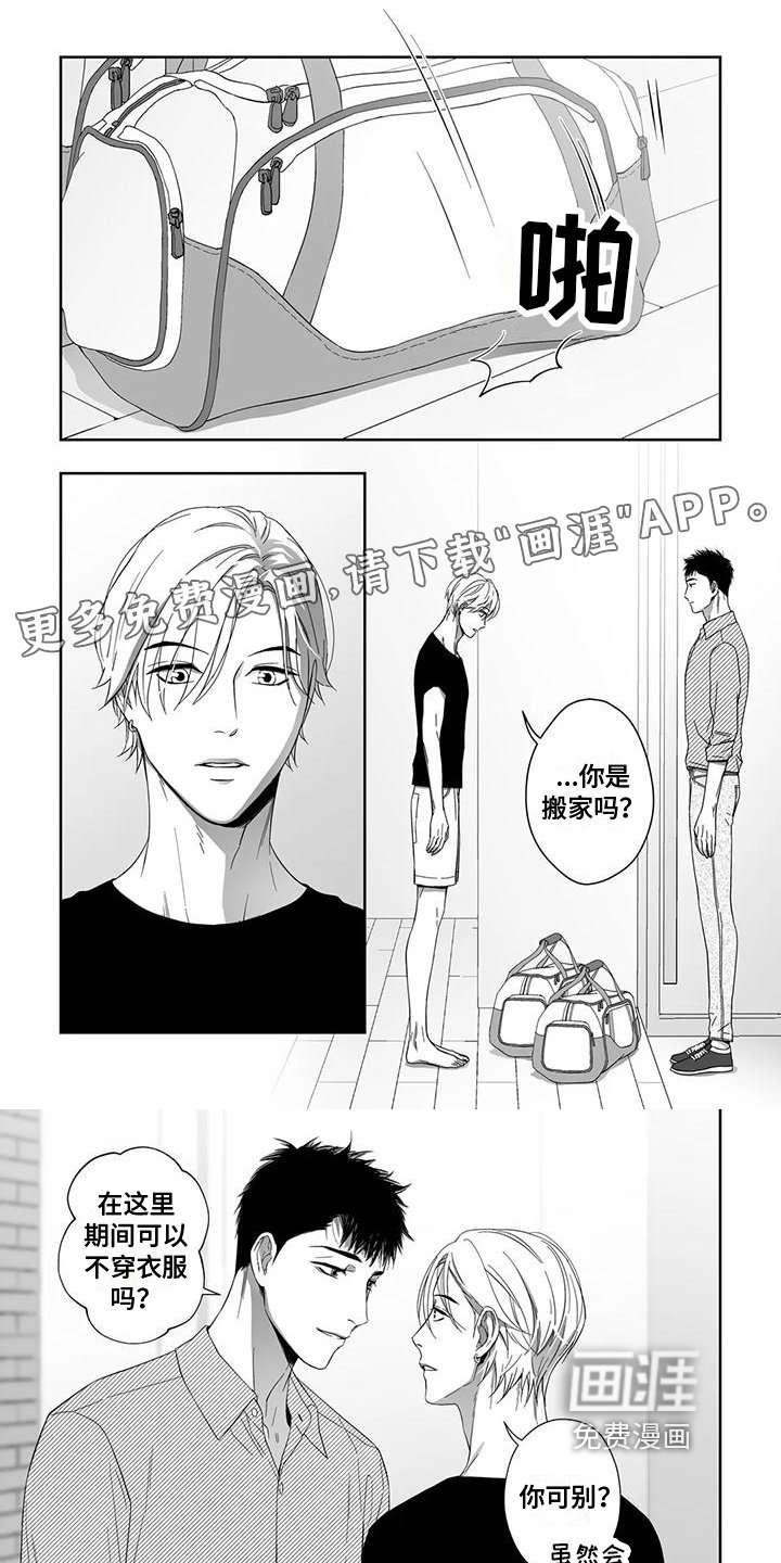 第19章：选材