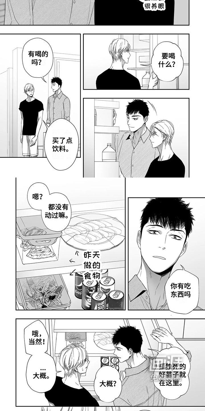 第19章：选材
