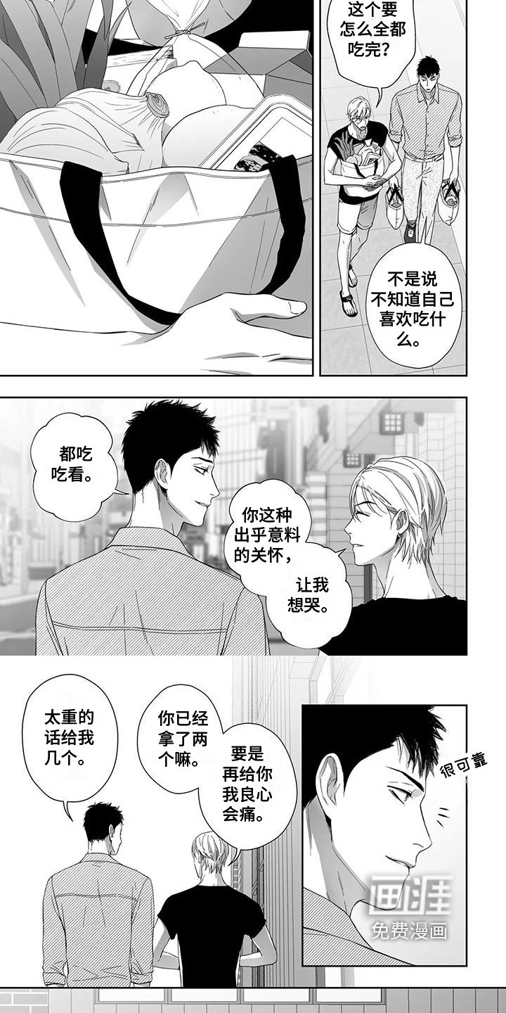 第19章：选材