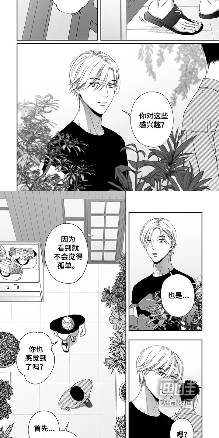 第20章：盆栽
