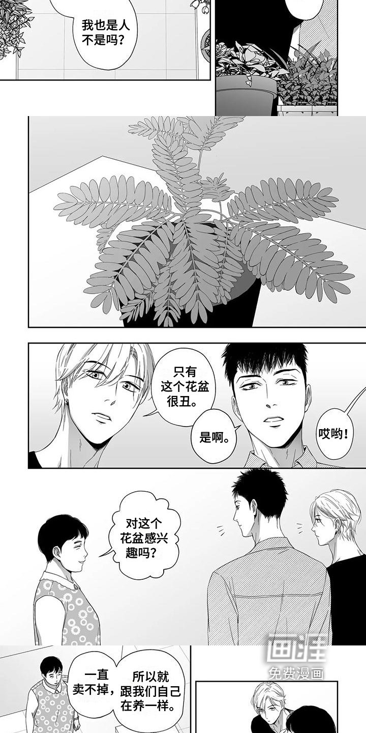 第20章：盆栽