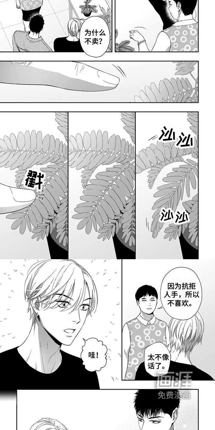 第20章：盆栽