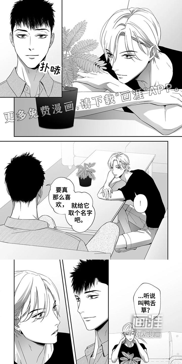 第21章：理由