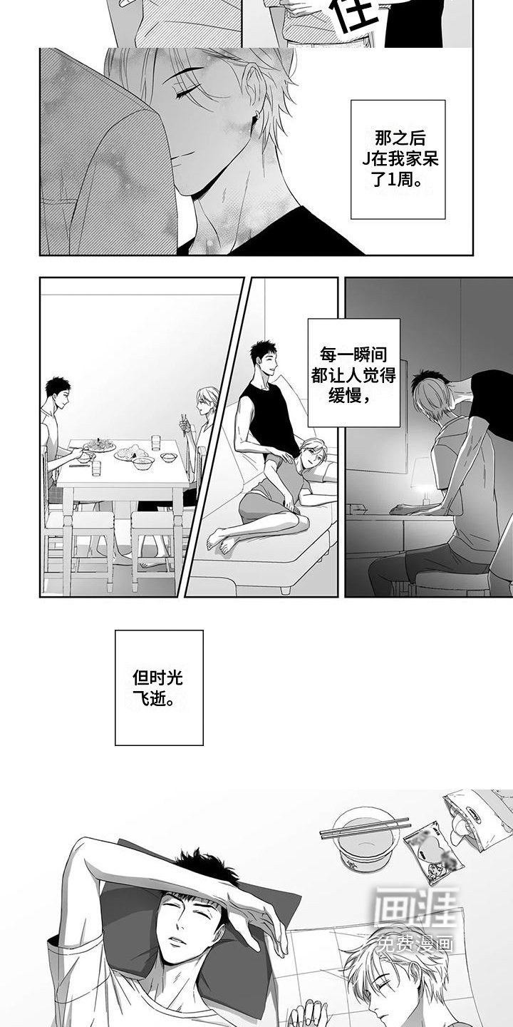 第21章：理由