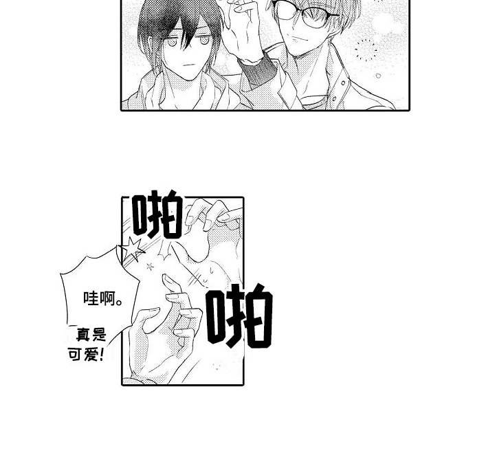 第19章：心意