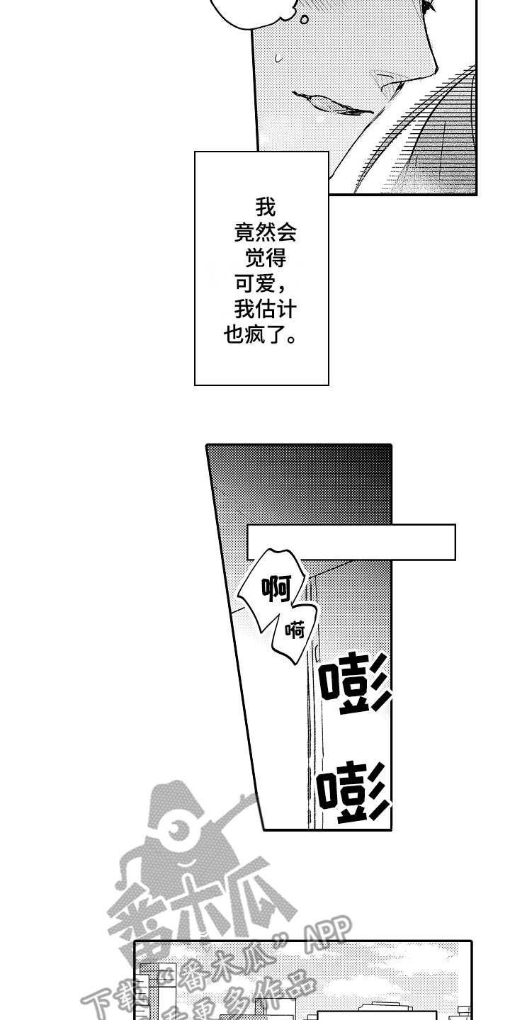 第4章：弱点